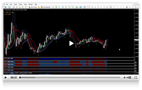 Forex boss