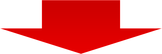 Intellectual corporation forex